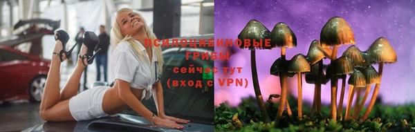 apvp Вязники