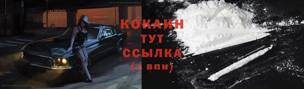 стафф Вязьма