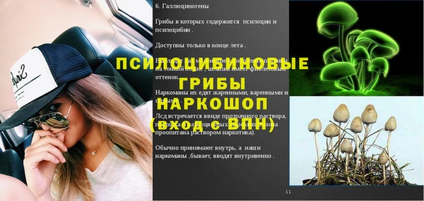 apvp Вязники