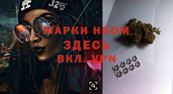 стафф Вязьма