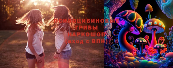 apvp Вязники