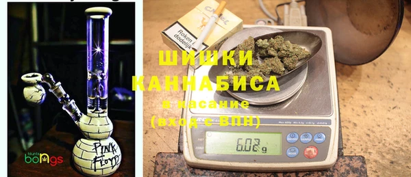 стафф Вязьма