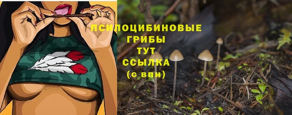 apvp Вязники