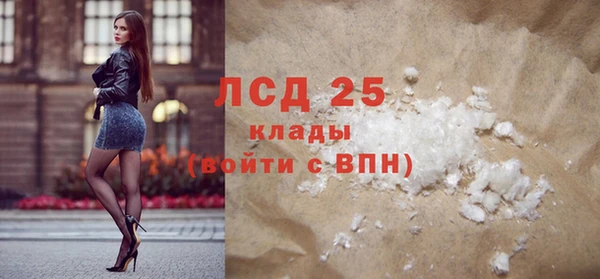 стафф Вязьма